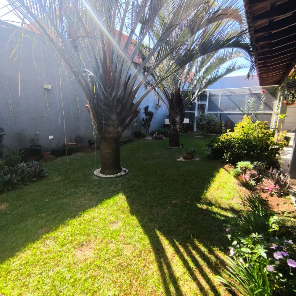 Casa - Venda - Jardim Treviso - Pirassununga - SP